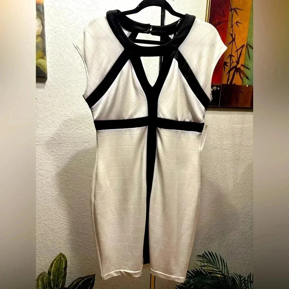 Bisou Bisou Ivory/Black dress dress size 12
